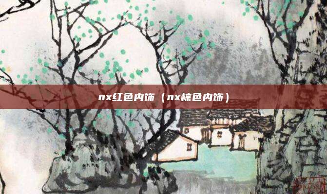 nx红色内饰(nx棕色内饰)