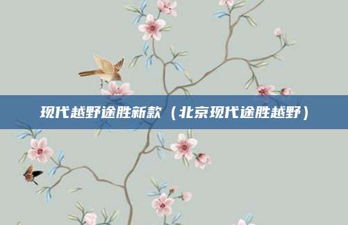 现代越野途胜新款(北京现代途胜越野)