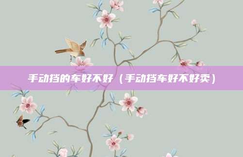 手动挡的车好不好(手动挡车好不好卖)