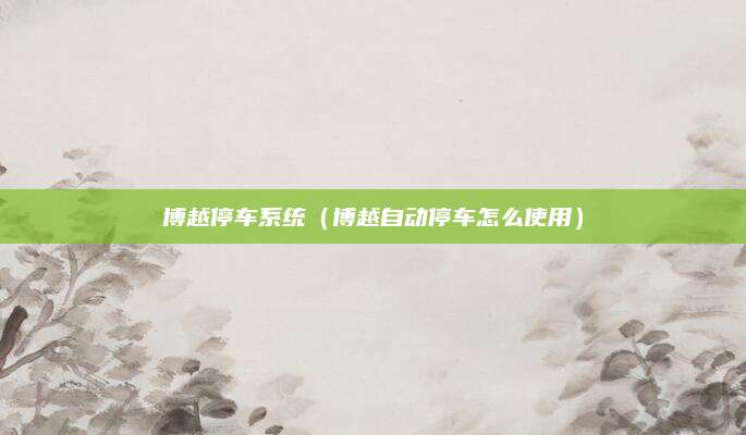 博越停车系统(博越自动停车怎么使用)