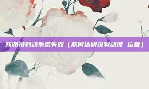 新明锐制动系统失效(斯柯达明锐制动液 位置)