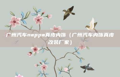 广州汽车nappa真皮内饰(广州汽车内饰真皮改装厂家)