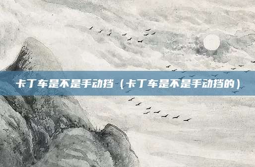 卡丁车是不是手动挡(卡丁车是不是手动挡的)