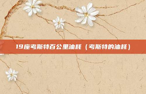 19座考斯特百公里油耗(考斯特的油耗)