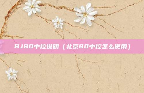 BJ80中控说明(北京80中控怎么使用)
