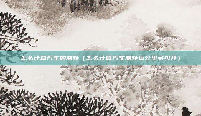 怎么计算汽车的油耗(怎么计算汽车油耗每公里多少升)