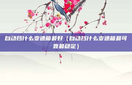 自动挡什么变速箱最好(自动挡什么变速箱最可靠最稳定)