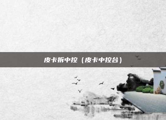 皮卡拆中控(皮卡中控台)