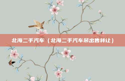 北海二手汽车（北海二手汽车吊出售转让）
