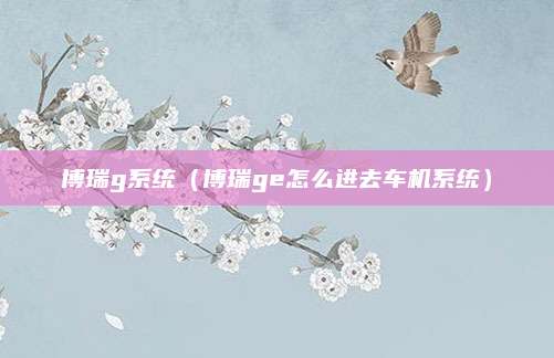 博瑞g系统(博瑞ge怎么进去车机系统)