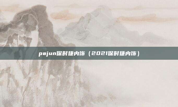 pajun保时捷内饰（2021保时捷内饰）