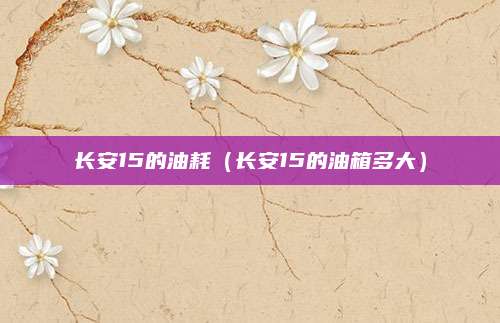 长安15的油耗(长安15的油箱多大)