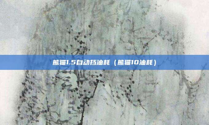 熊猫1.5自动挡油耗(熊猫10油耗)