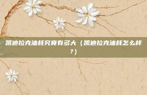 凯迪拉克油耗究竟有多大(凯迪拉克油耗怎么样?)