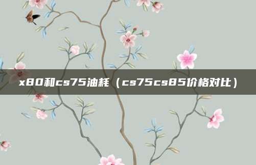 x80和cs75油耗（cs75cs85价格对比）