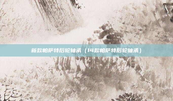 新款帕萨特后轮轴承（14款帕萨特后轮轴承）