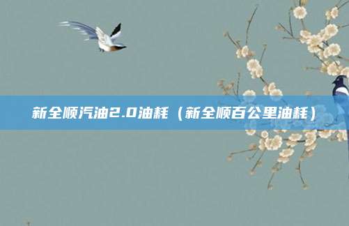 新全顺汽油2.0油耗(新全顺百公里油耗)