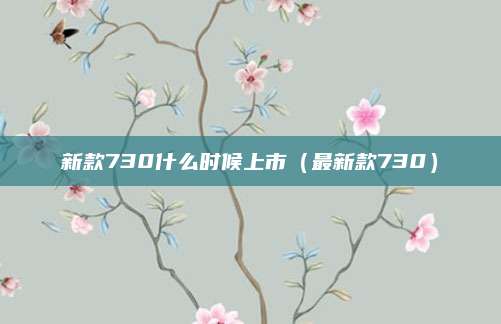新款730什么时候上市(最新款730)