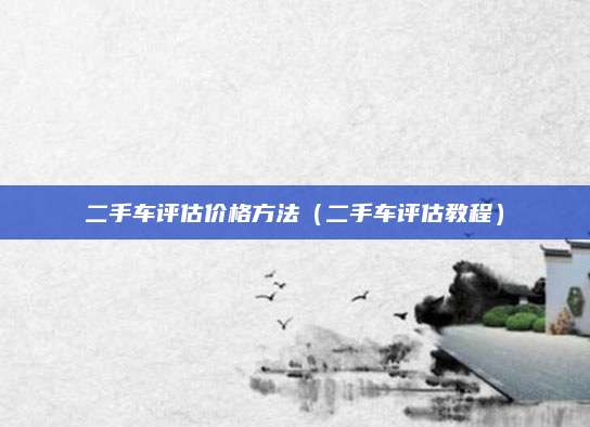 二手车评估价格方法(二手车评估教程)