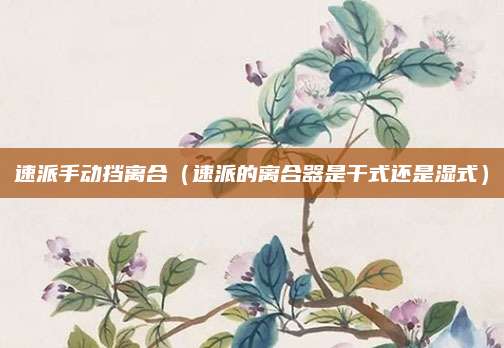 速派手动挡离合(速派的离合器是干式还是湿式)