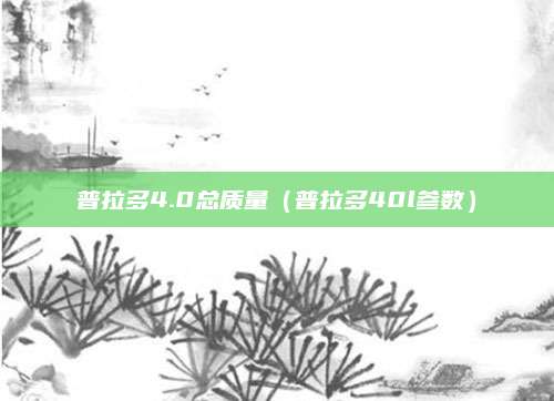 普拉多4.0总质量(普拉多40l参数)