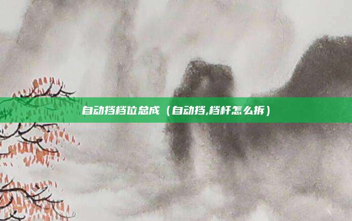 自动挡档位总成(自动挡,档杆怎么拆)