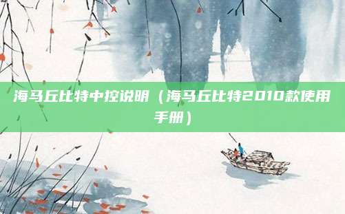海马丘比特中控说明(海马丘比特2010款使用手册)