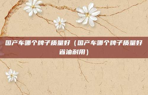 国产车哪个牌子质量好(国产车哪个牌子质量好省油耐用)