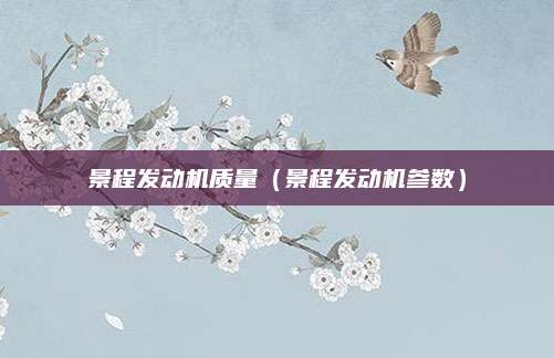 景程发动机质量(景程发动机参数)