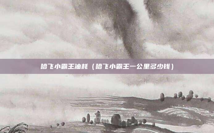 哈飞小霸王油耗(哈飞小霸王一公里多少钱)
