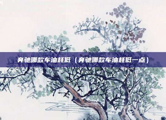 奔驰哪款车油耗低(奔驰哪款车油耗低一点)