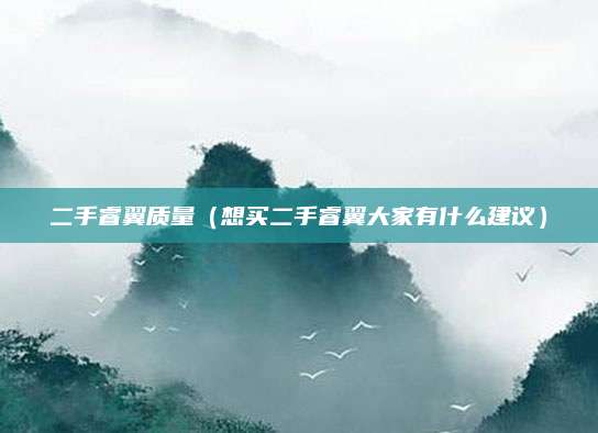 二手睿翼质量(想买二手睿翼大家有什么建议)