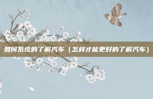 如何系统的了解汽车（怎样才能更好的了解汽车）