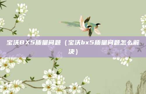 宝沃BX5质量问题(宝沃bx5质量问题怎么解决)