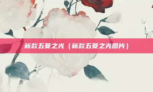 新款五菱之光(新款五菱之光图片)