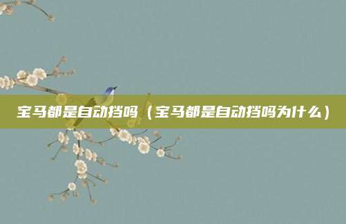宝马都是自动挡吗(宝马都是自动挡吗为什么)