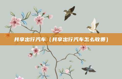 共享出行汽车(共享出行汽车怎么收费)