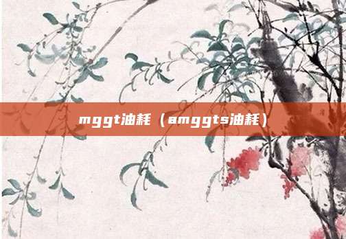 mggt油耗(amggts油耗)