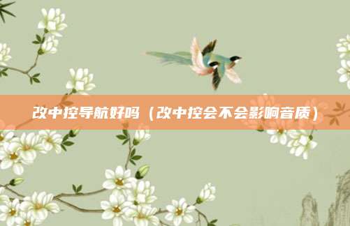 改中控导航好吗（改中控会不会影响音质）
