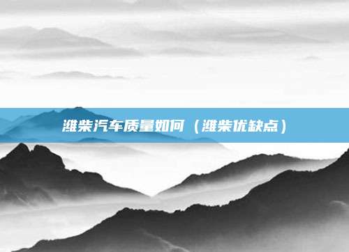 潍柴汽车质量如何(潍柴优缺点)