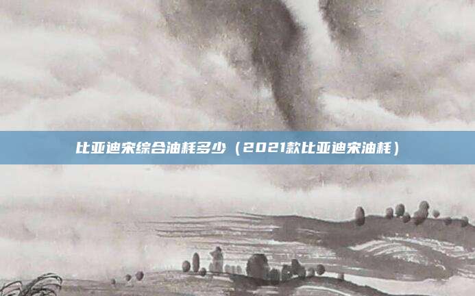 比亚迪宋综合油耗多少(2021款比亚迪宋油耗)