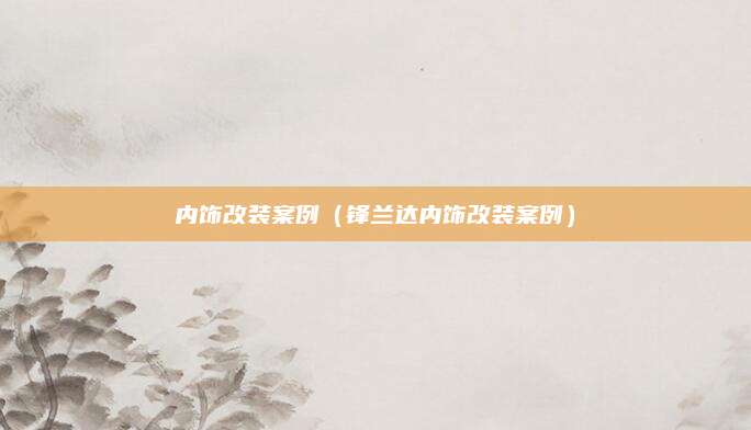 内饰改装案例(锋兰达内饰改装案例)