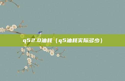 q52.0油耗(q5油耗实际多少)