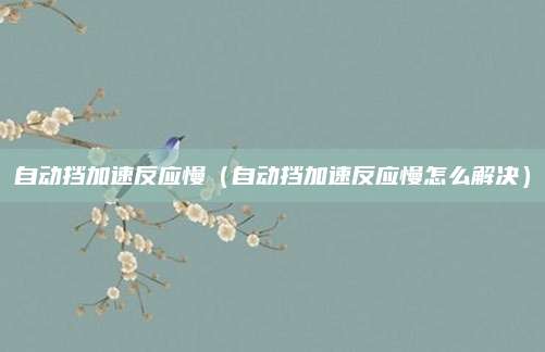 自动挡加速反应慢（自动挡加速反应慢怎么解决）