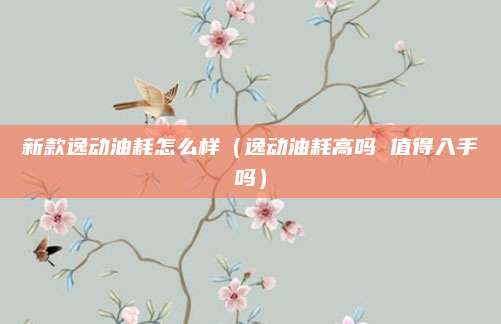 新款逸动油耗怎么样(逸动油耗高吗 值得入手吗)