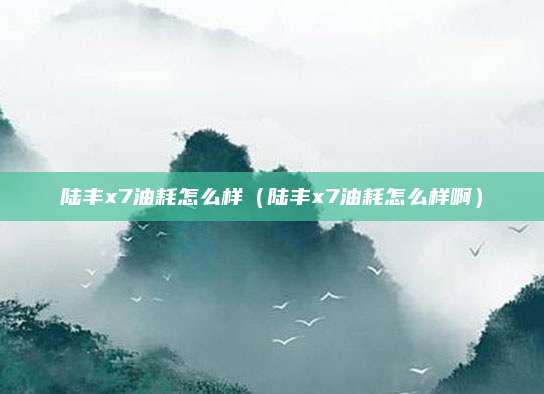 陆丰x7油耗怎么样(陆丰x7油耗怎么样啊)