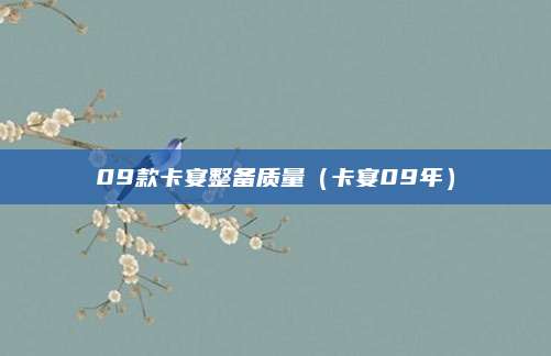 09款卡宴整备质量(卡宴09年)