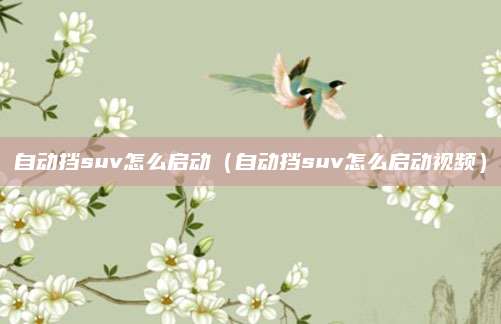 自动挡suv怎么启动(自动挡suv怎么启动视频)