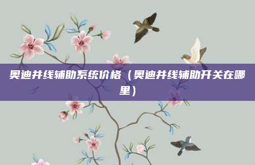 奥迪并线辅助系统价格（奥迪并线辅助开关在哪里）