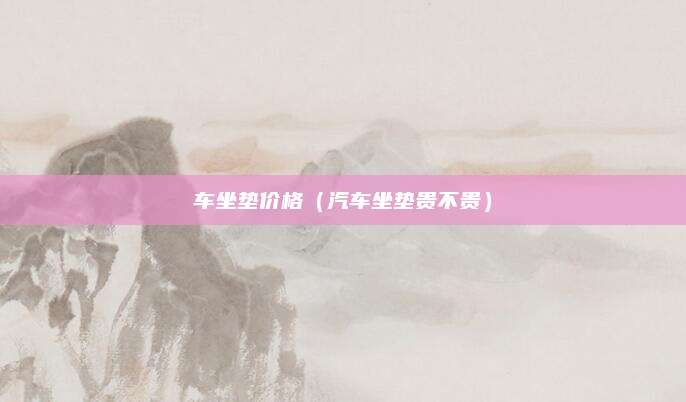 车坐垫价格(汽车坐垫贵不贵)